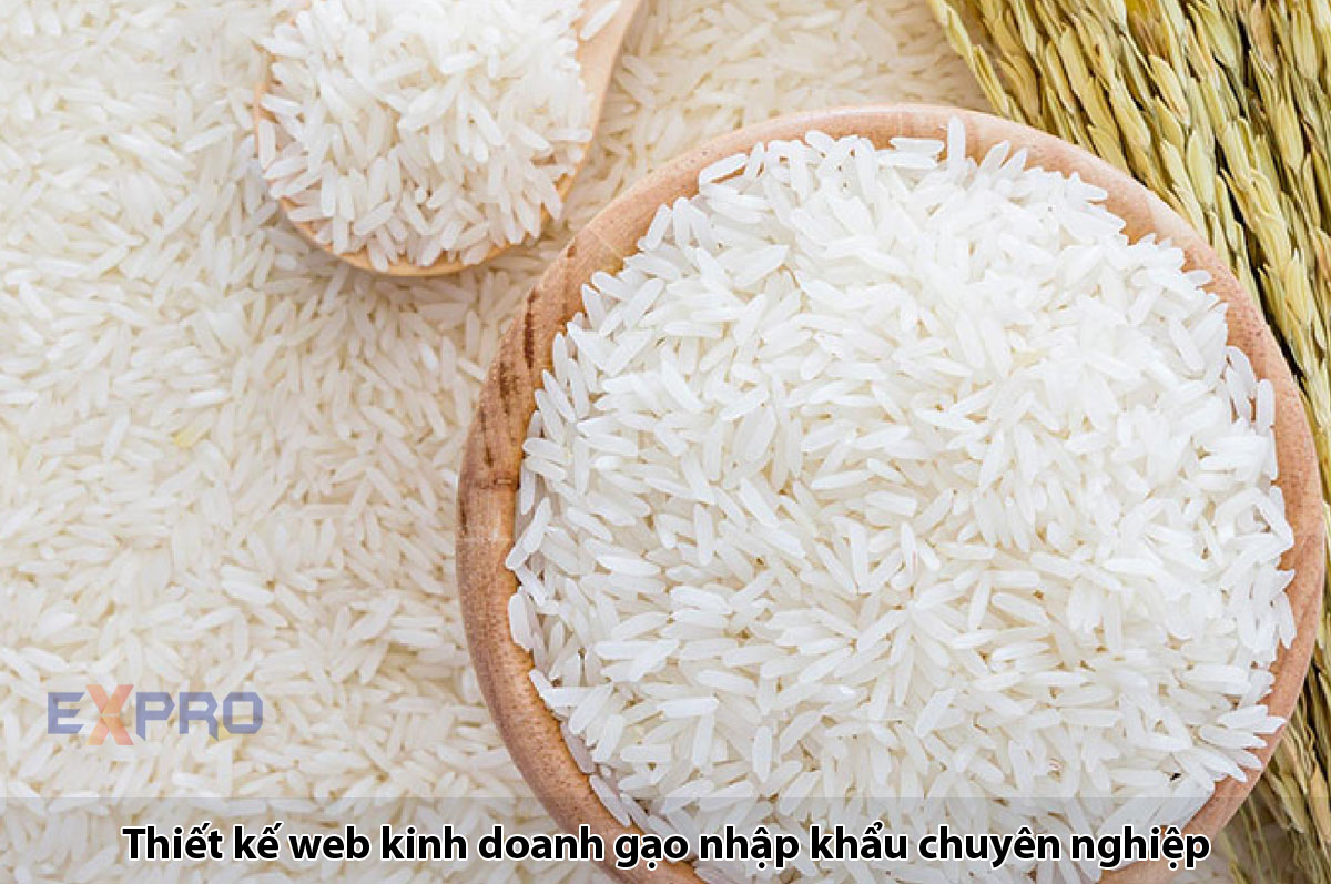 Thiết kế website kinh doanh gạo xuất nhập khẩu giao diện đẹp mắt